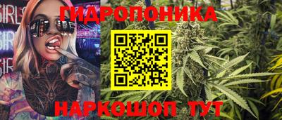 ECSTASY Гай