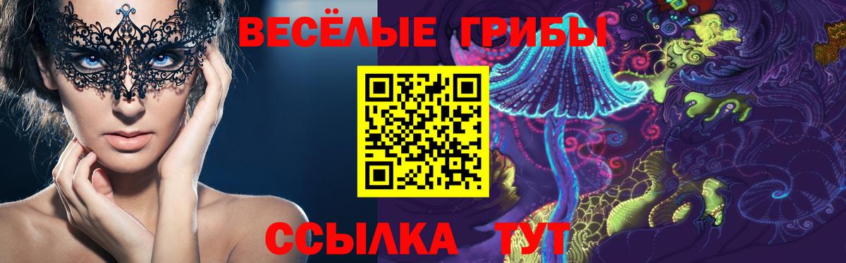 Владивосток  Псилоцибиновые грибы MAGIC MUSHROOMS  Вход с VPN 